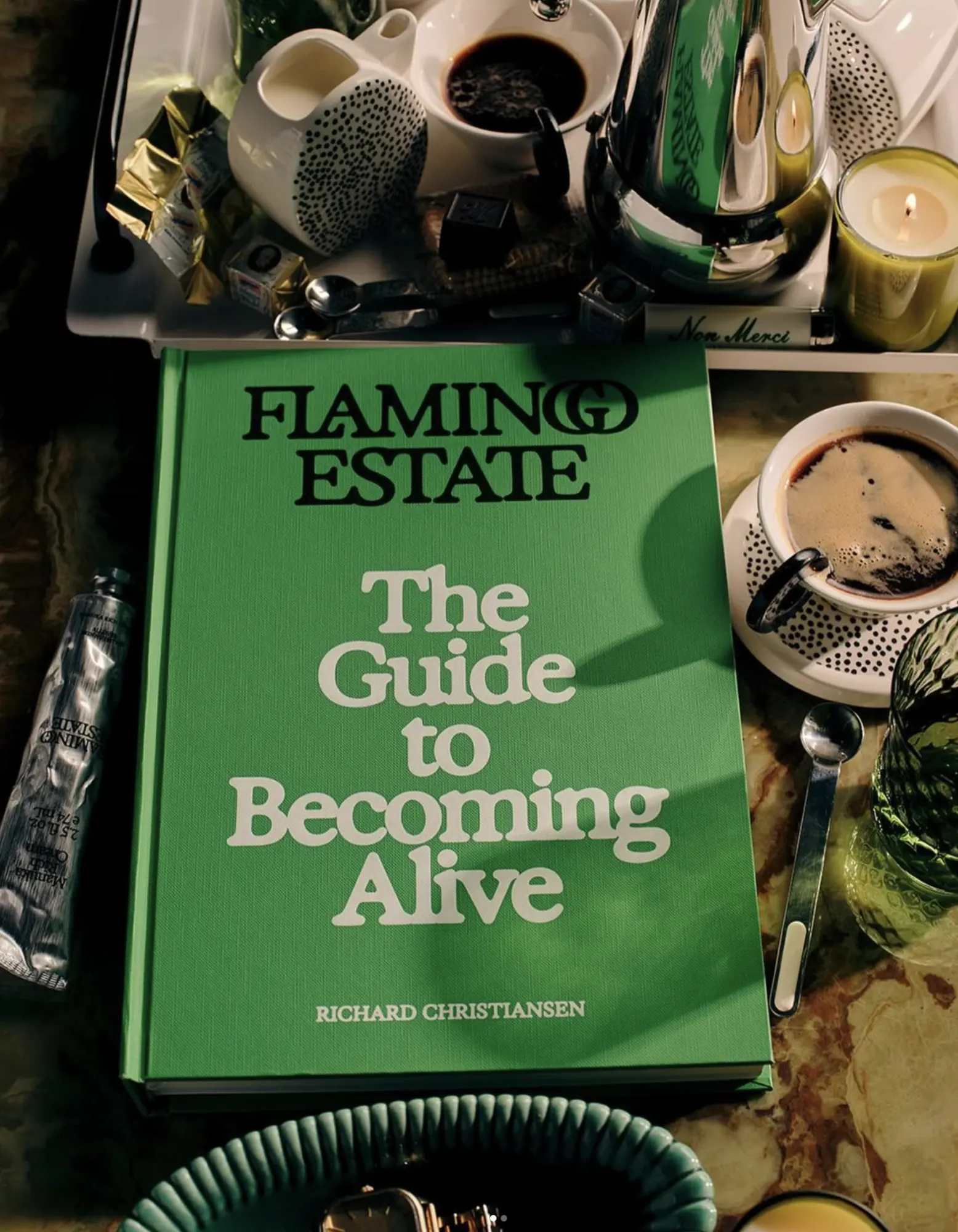 The Flamingo Estate book The Guide to Becoming Alive