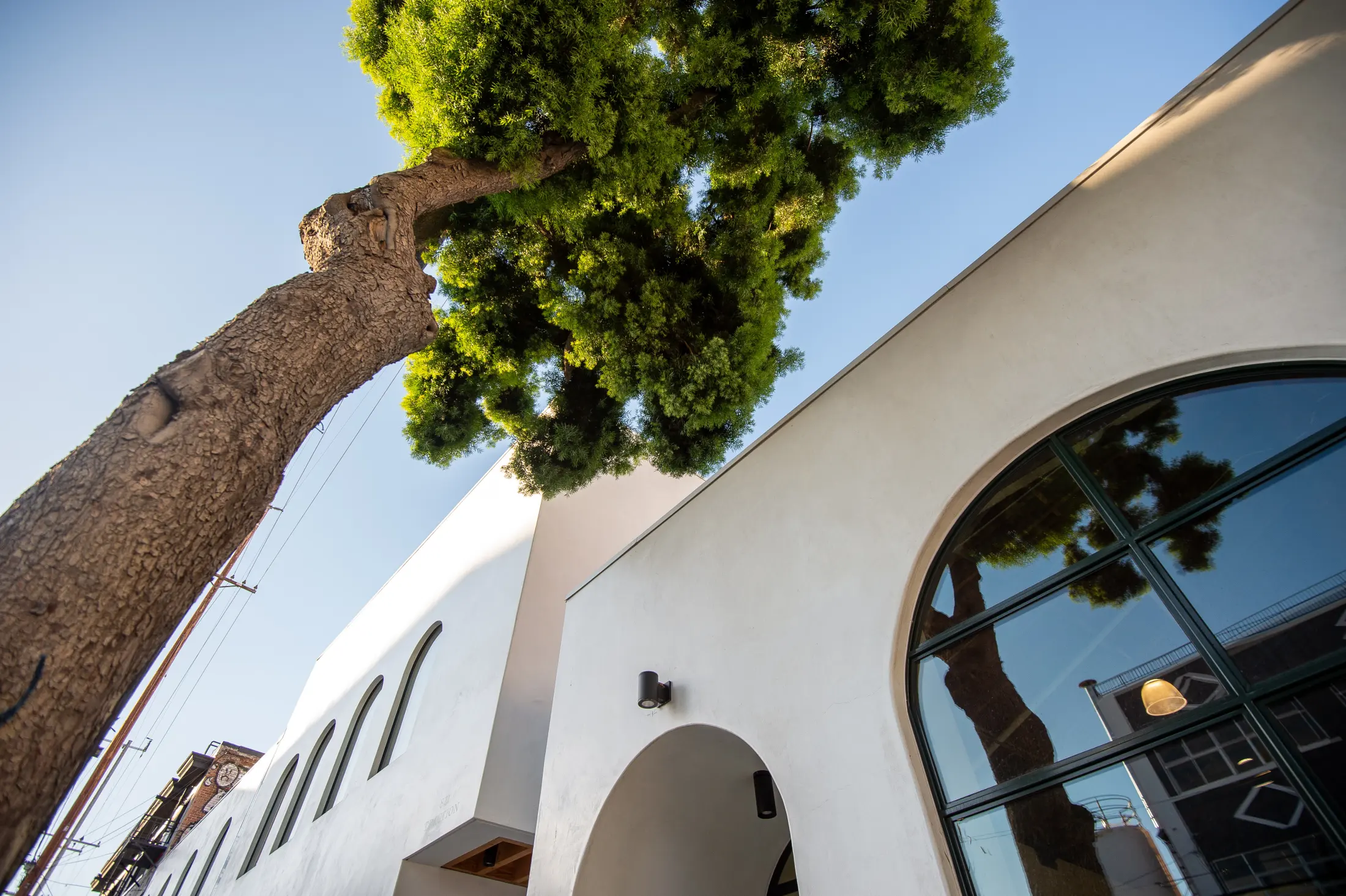 Looking up at the arched windows and the bottle tree at Signal