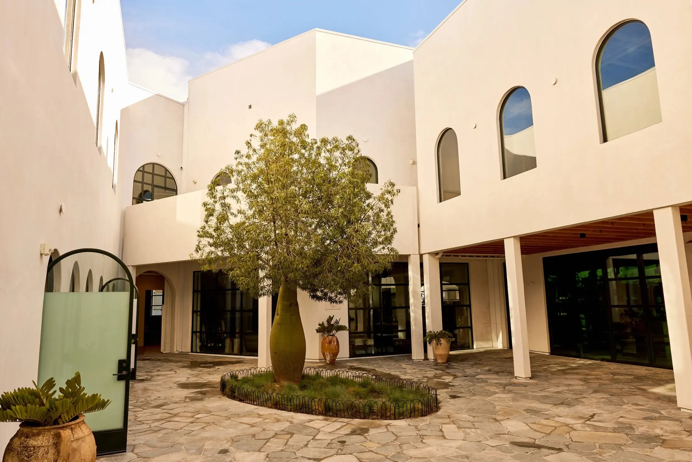 The courtyard at Signal with the bottle tree and arched windows